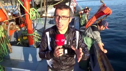 Sinop karadeniz'de istavrit bereketi