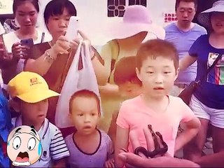 Chinese farmer finds two-headed snake in yard