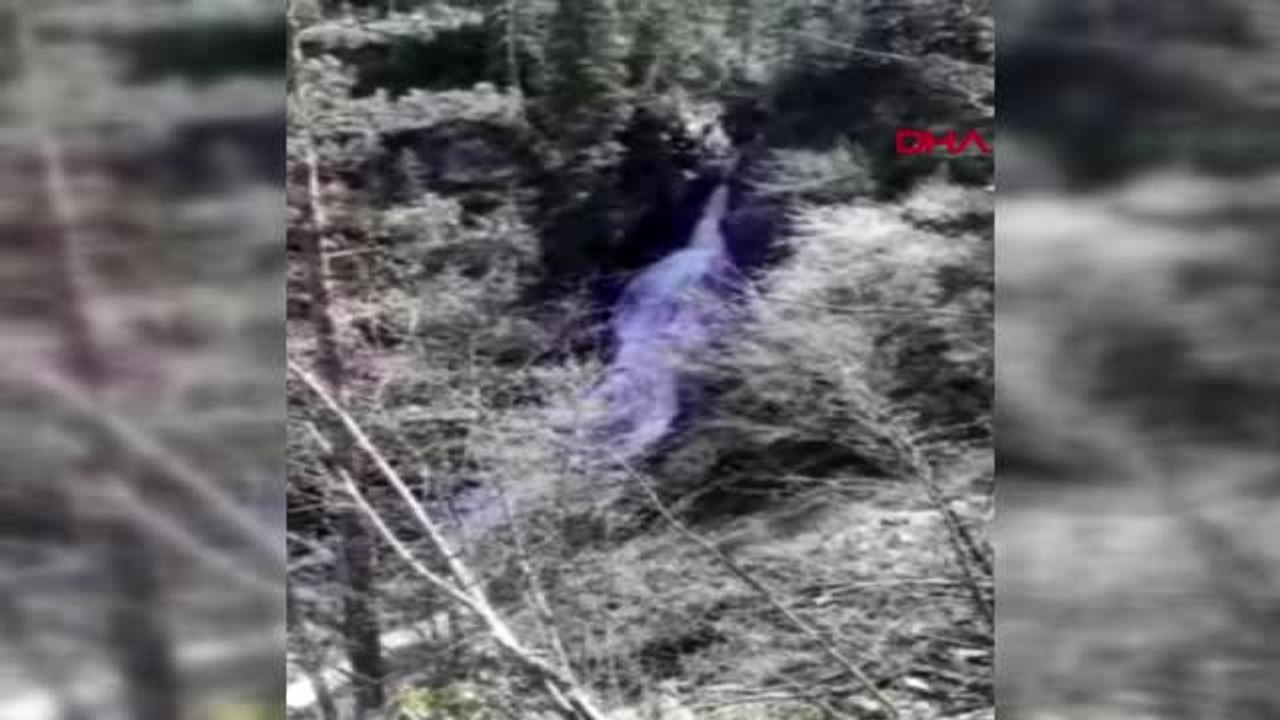 Bartın'da doğa harikasının tabiat parkı olması bekleniyor
