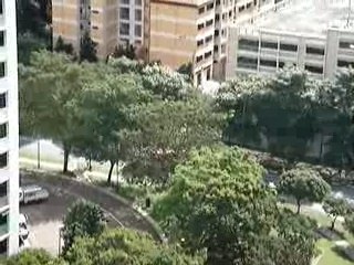 Lunar New Year Lion Dance Troupe