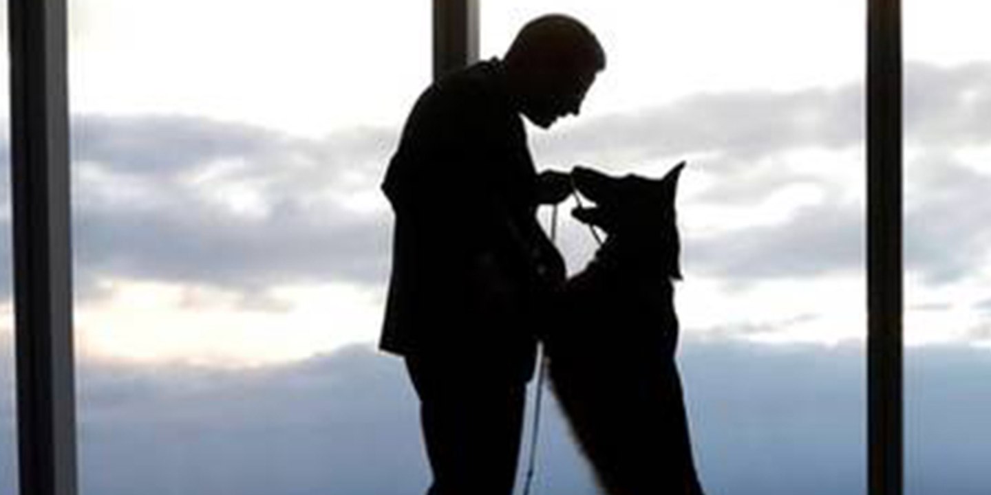Así es ’Sasha Dog': el nuevo y viral 'engañoso' filtro de Instagram que hace creer que un perro entró en casa