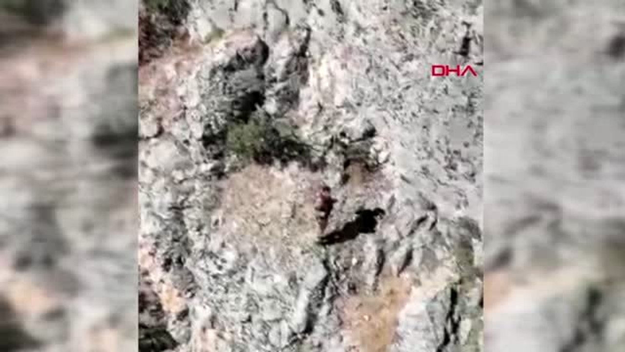 Erzincan'da pkk sığınaklarında tuzaklanmış eyp bulundu
