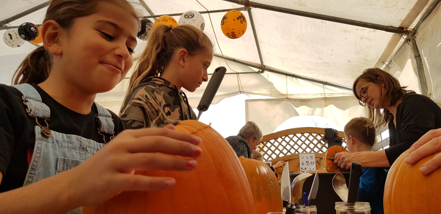Atelier "Citrouilles d'Halloween" à la cueillette Paradis Vogel de Burnhaupt-le-Haut