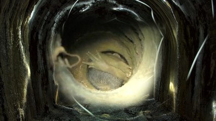 நேற்று மாலை குழந்தை விழுந்தது முதல் இதுவரை நடந்தது என்ன ?