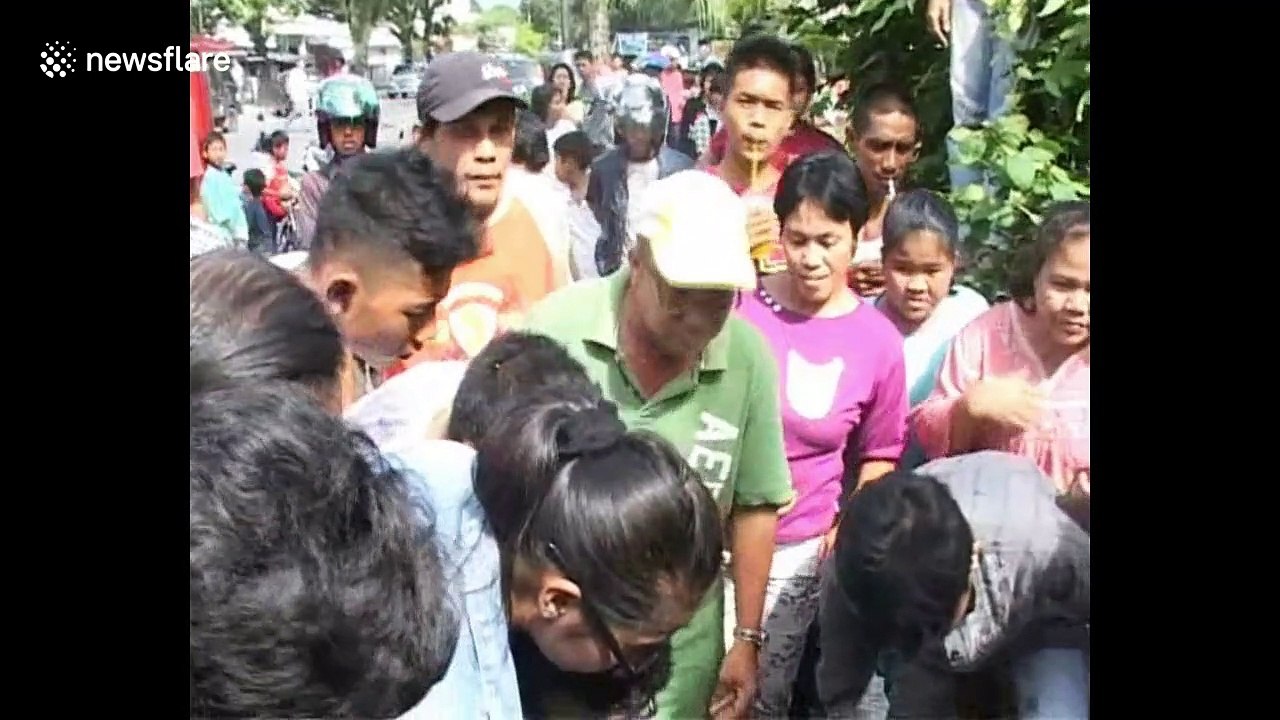 Indonesian famers struggle to remove huge python from gutter