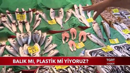 Balık Mı, Plastik Mi Yiyoruz?