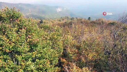 Kazdağları'nın Sonbahar Renkleri Göz Kamaştırıyor