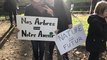 Manifestation pour sauver les arbres de la rue Prémartine au Mans