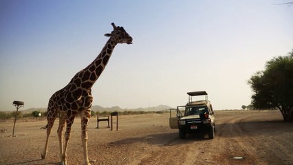 Anantara Sir Baniyas Island | part 2