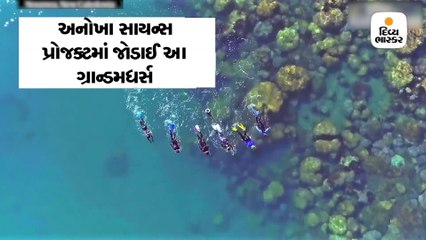 દાદીઓ દરિયામાં ડૂબકી મારીને ઝેરી સાપો પર રિસર્ચ કરે, યૂઝર્સે પણ તેમની ઝૂંબેશને વખાણી