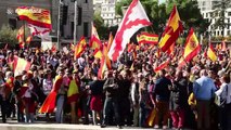 Fascist salutes and Franco flags at far-right Vox rally in Madrid