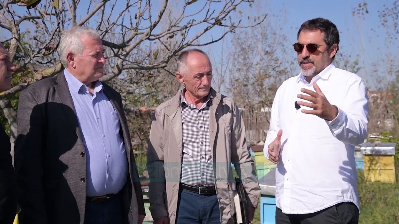 Mjalti shqiptar drejt Kinës - Lajme - Vizion Plus