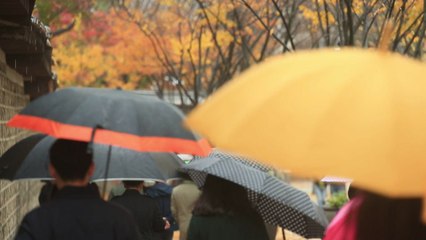 날씨에 울고 웃고...매출 가르는 특보 / YTN