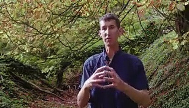 Rare Italian white truffles cost over $4,000 per kilo — here's why real truffles are so expensive