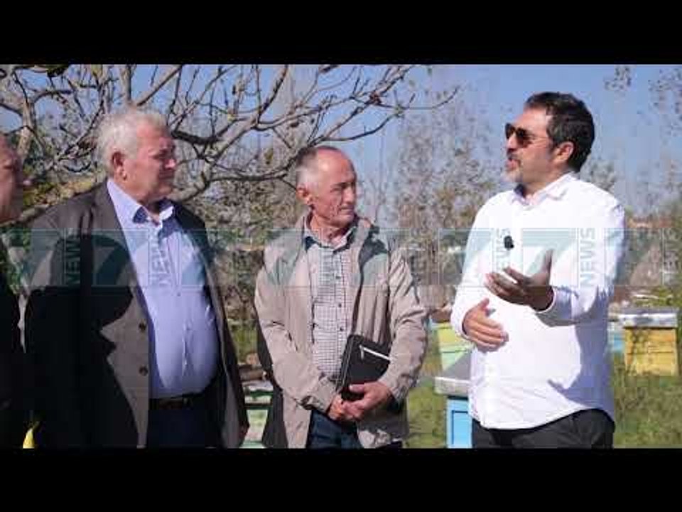 MJALTI SHQIPTAR DREJT KINES, JAVEN TJETER MARREVESHJA - News, Lajme - Kanali 7