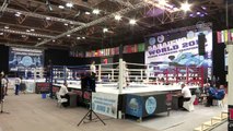 Milli kick boksçulardan Dünya Şampiyonası'nda 16 madalya