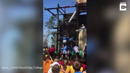 C'est ce qu'on appelle un travail d'équipe. Joli...