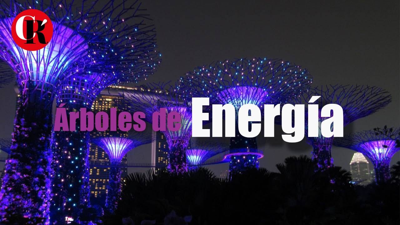 Árboles de energía