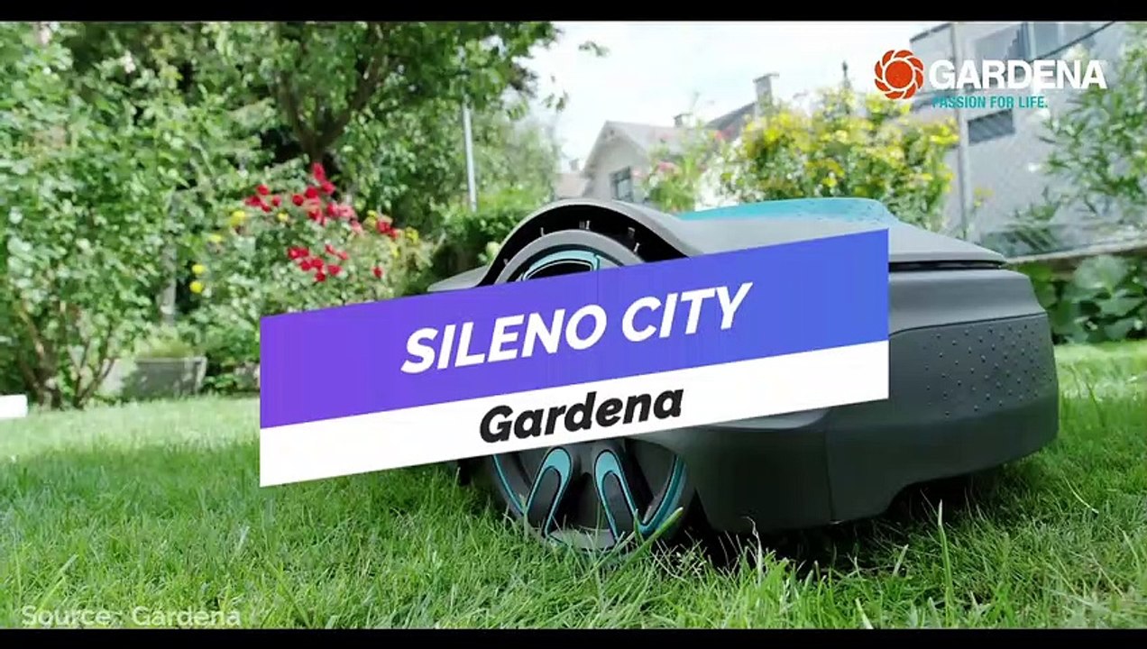 Sileno City