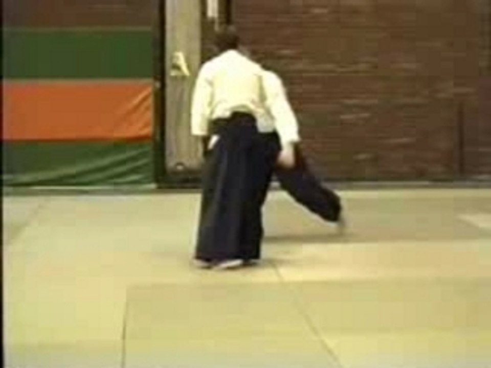 AIKIDO ZOMER STAGE - Michel Vanhomwegen 7 Dan Murashigeryu
