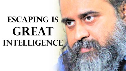 It is great intelligence to escape away || Acharya Prashant (2019)