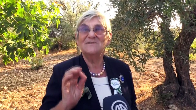 Prof. Dr. Karatay: 'Zeytinyağı altından daha değerlidir' - HATAY