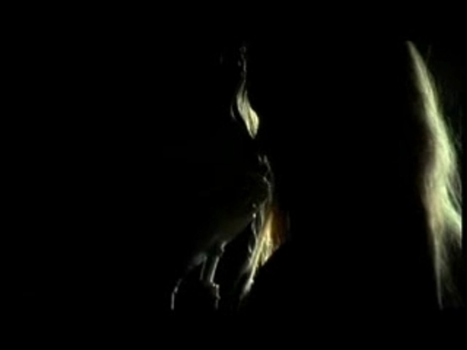 Susanna And The Magical Orchestra - Love Will Tear Us Apart