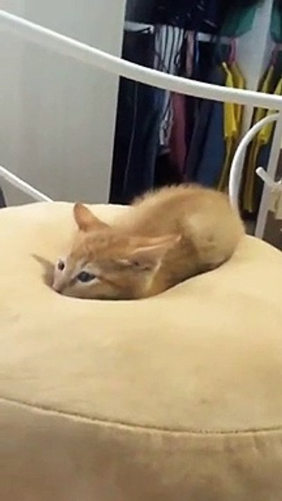 一张好床