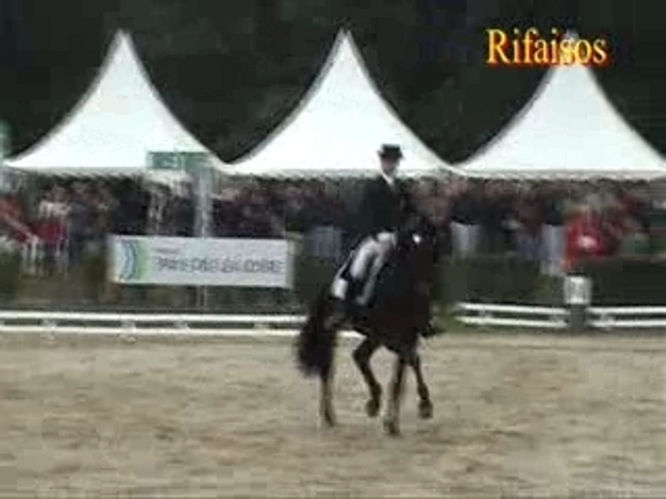 Rifaisos
