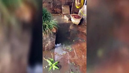 Esgoto para todo lado: moradora reclama de vazamento no Jardim Clarito