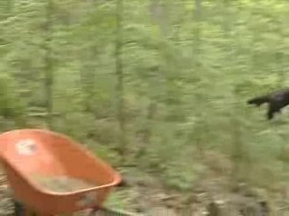 PEAK.com Endurance Ultramarathon and Extreme Death Division