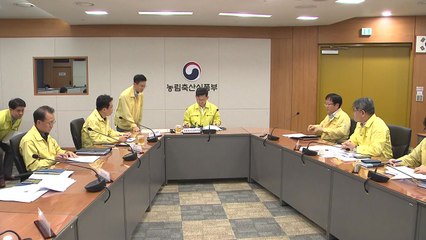 농식품부 "야생멧돼지 폐사체 신속한 수색 필요" / YTN