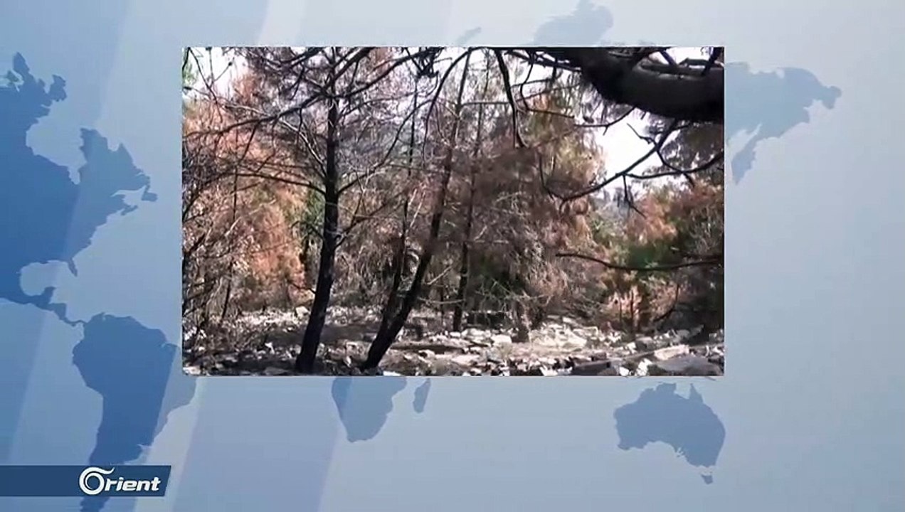 الفصائل المقاتلة تصد محاولة تقدم لميليشيا أسد على محور كبانة شمال اللاذقية