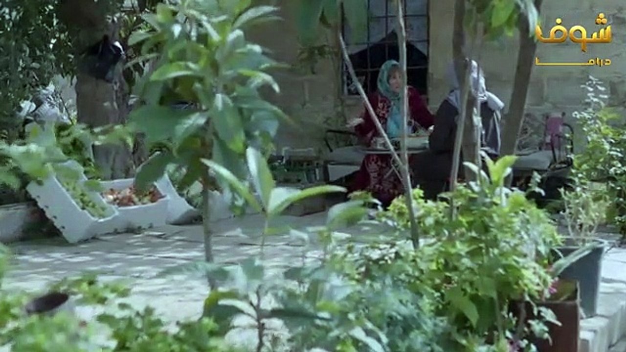 مسلسل عن الهوى والجوى الحلقة 2 - سداسية حب بالايجار الثانية