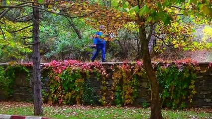 Kuğulu Milli Parkı sonbahar görüntüsüyle büyülüyor - KONYA