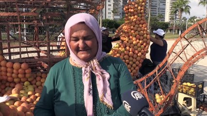 Narenciyeler, Mersinli kadınların elinde figüre dönüşüyor