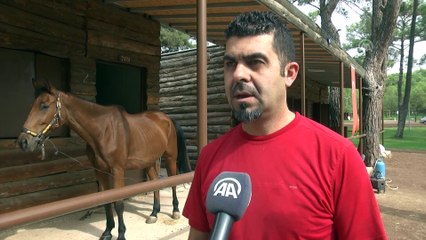 Milyonluk atların nalları Mustafa ustaya emanet - ANTALYA