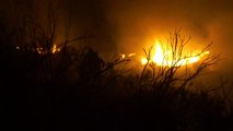 La ciudad mexicana de Tijuana, afectada por los incendios de California
