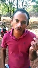 Musica caneta azul, azul caneta