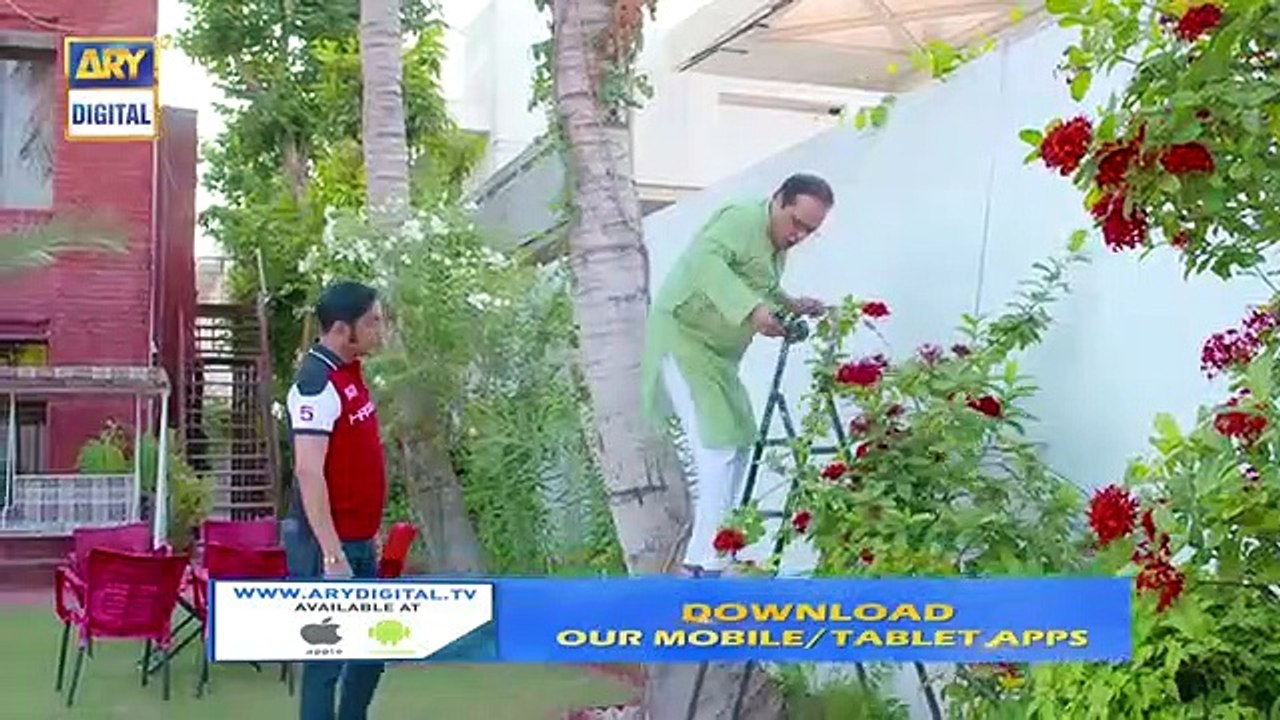 Bulbulay Season 2 on ARY Digital - Episode 25 - 27 October 2019