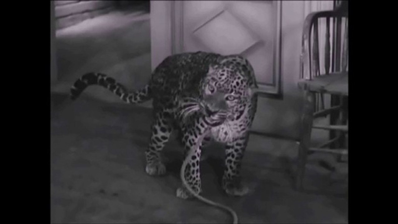 Bringing Up Baby Audiobook