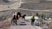 Three horses rescued from evacuation area