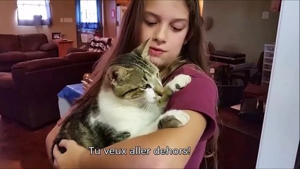 Download Video: Ce chat déteste aller dehors et le fait comprendre à sa maitresse... Adorable