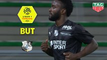 But Steven MENDOZA (68ème) / AS Saint-Etienne - Amiens SC - (2-2) - (ASSE-ASC) / 2019-20