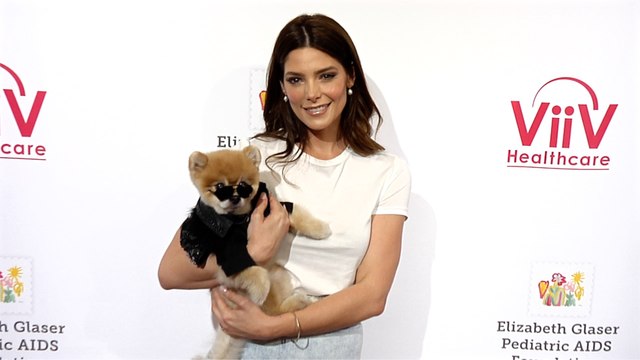 Ashley Greene 30th Annual “A Time for Heroes” Red Carpet