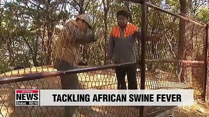 S. Korea to set up fences from east to west to prevent spread of African swine fever through wild boars