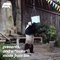 Yesterday a Thai zoo has lost Xuang Xuang a male Panda bear - Naturee Wildlife