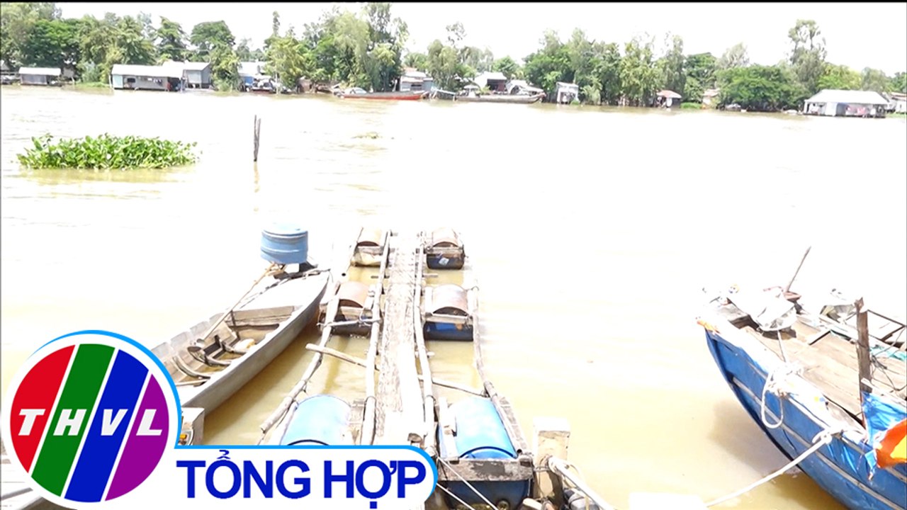 Không được đóng đáy cá linh, người dân lo mất kế sinh nhai