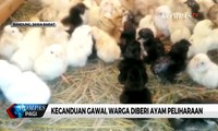 Gantikan Gawai dengan Anak Ayam, DPRD Bandung: Tidak Pas