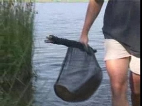 4 Saisons de la Carpe: Eté - Autonme, Tome 1